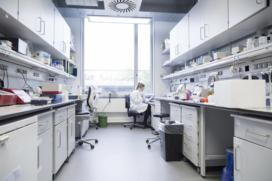 Young female scientist working at biological laboratory reading protocol